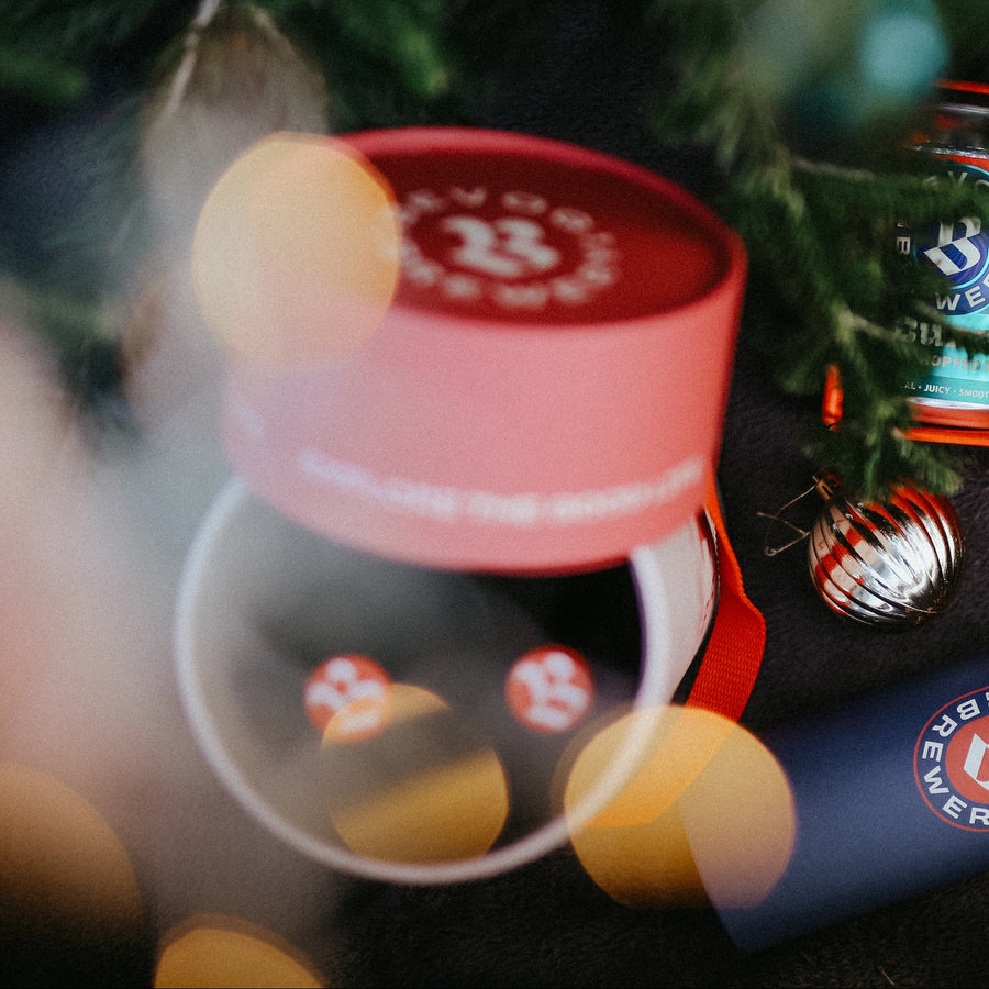 BUCKET OF BEERY JOY 🍻