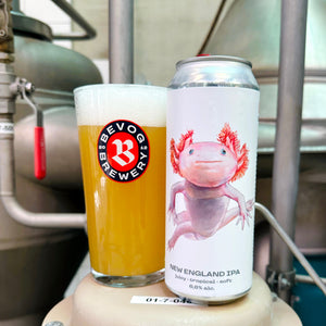 Axolotl 12 pack