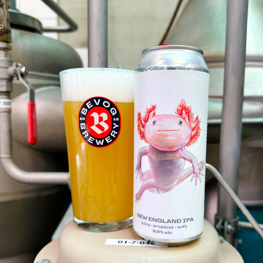 Axolotl 12 pack
