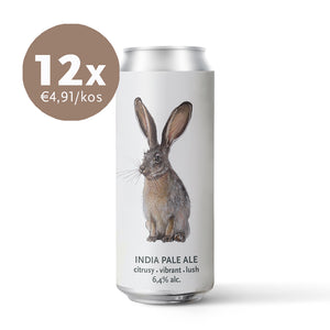 Tehuantepec Jackrabbit 12 pack