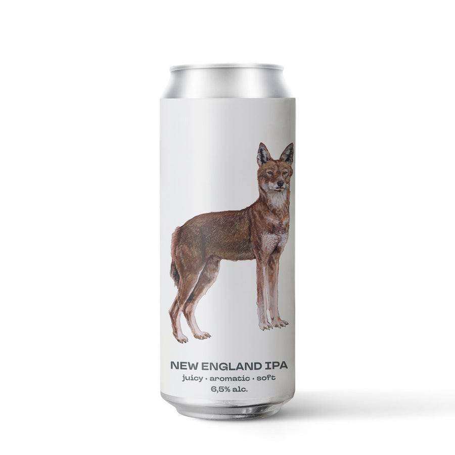 Ethiopian Wolf