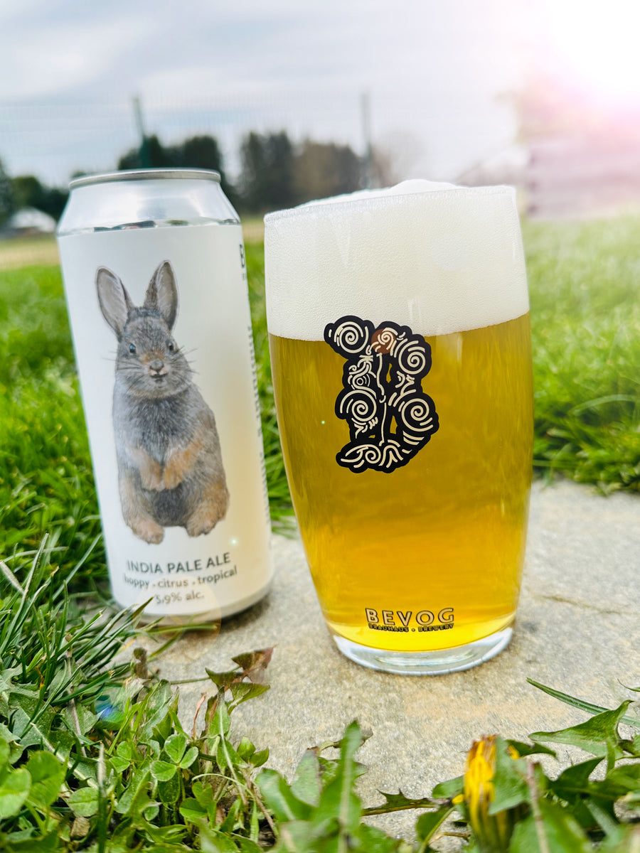 PYGMY RABBIT – Bevog SI