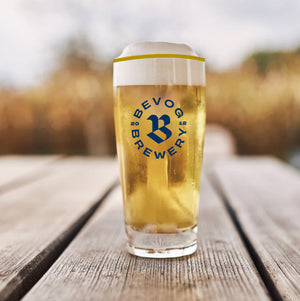 WILLY LAGER KOZAREC 0,3L